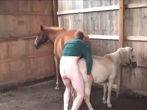 Hors With Boy Sex - Inadequate boy fucks little horse in barn