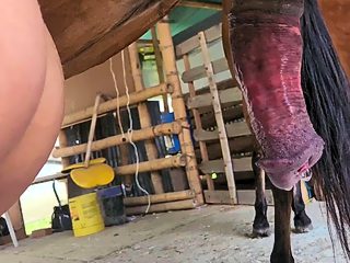 Frau wird von pferd gefickt